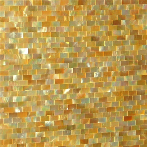 MS210