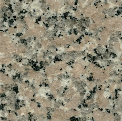 MS444